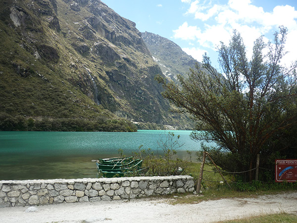 peruvian