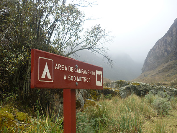 peruvian