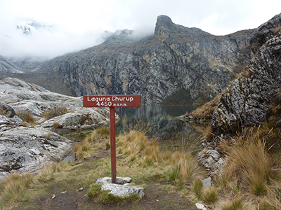 Click to enlarge peruvian